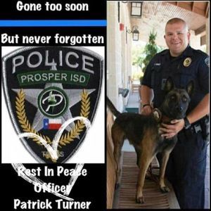 Meet your Posher, Shellie